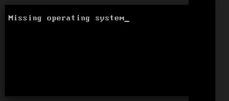 Missing Operating System